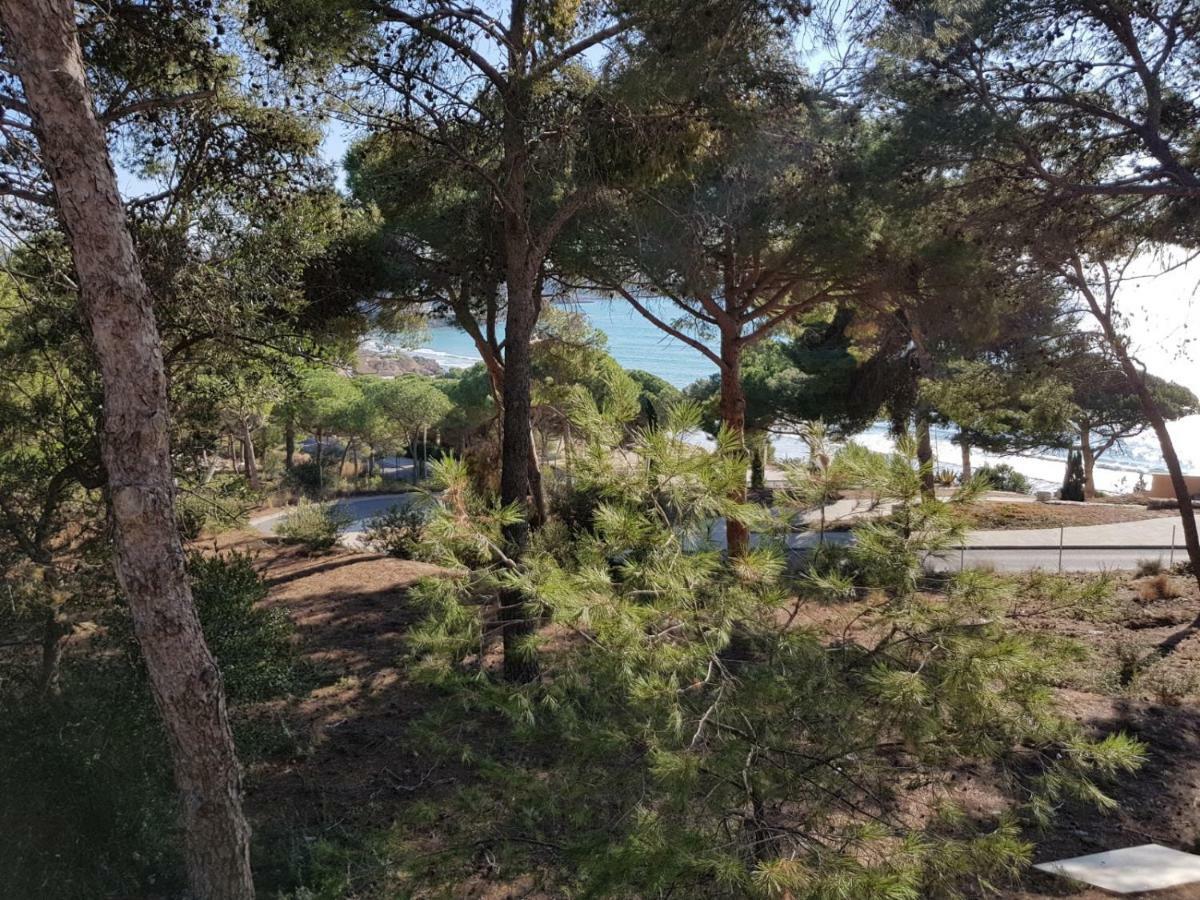 Apartment Atalaya 萨洛 外观 照片
